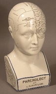 Image of Classic example of L.N.Fowler phrenology head.